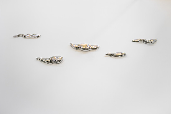 Leo Gallery