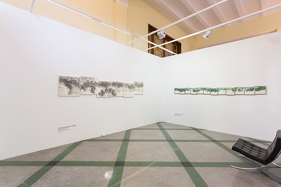 Leo Gallery