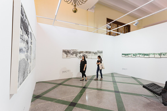 Leo Gallery