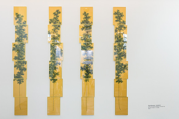 Leo Gallery